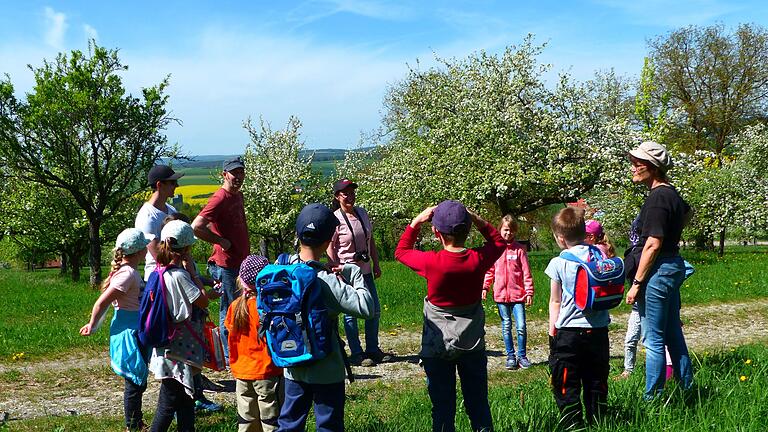 Birkenfelder Jugendliche beim Erkunden der blühenden Streuobstwiese. Der OGV Birkenfeld erreichte den ersten Platz im Wettbewerb 'Streuobst Vielfalt - Beiß rein'.
