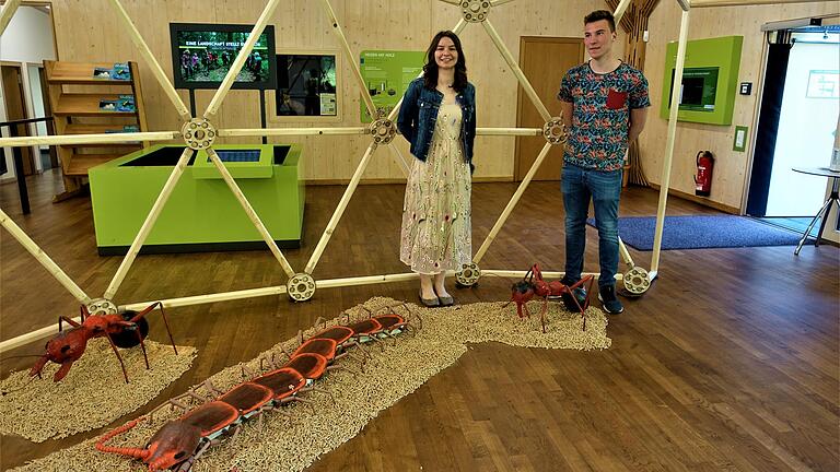 Linda Wohlleber und Raphael Geuppert leisten im Rahmen des Bundesfreiwilligendienstes ein Freiwilliges Ökologisches Jahr im Steigerwaldzentrum. Sie stehen im Insektenpavillon, das im rahmen des dort laufenden Ausstellung aufgebaut wurde. Linda Wohlleber und Raphael Geuppert leisten im Rahmen des Bundesfreiwilligendienstes ein Freiwilliges Ökologisches Jahr im Steigerwaldzentrum. Sie stehen im Insektenpavillon, das im rahmen des dort laufenden Ausstellung aufgebaut wurde.