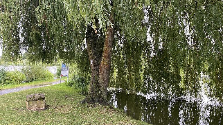Die Trauerweide am Hohenröther See bietet eine traumhafte Kulisse für standesamtliche Eheschließungen. Die Trauerweide am Hohenröther See bietet eine traumhafte Kulisse für standesamtliche Eheschließungen.