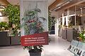 Wie kamen exotische Pflanzen in unsere Wohnzimmer? Im Botanischer Garten der Uni Würzburg erzählt eine Ausstellung über die Geschichte der Zimmerpflanzen.