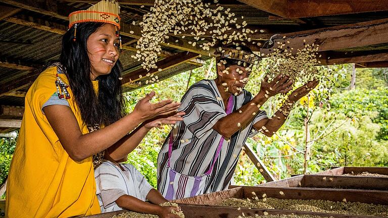 Weltumspannende Zusammenarbeit. Fair-Trade-Kaffee aus Peru (hier wird er gerade gewendet) wird in der Rhön verarbeitet und vermarktet. Weltumspannende Zusammenarbeit. Fair-Trade-Kaffee aus Peru (hier wird er gerade gewendet) wird in der Rhön verarbeitet und vermarktet.