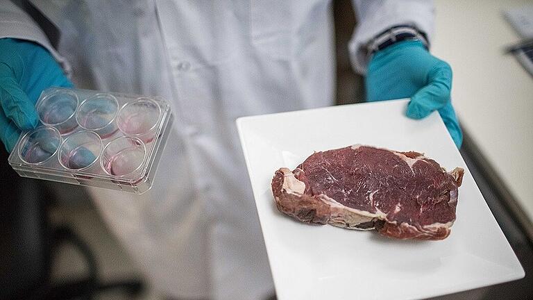 dpa-Story - Laborfleisch.jpeg       -  In vielen Ländern wird an Fleisch aus dem Labor geforscht – auch in Bayern.