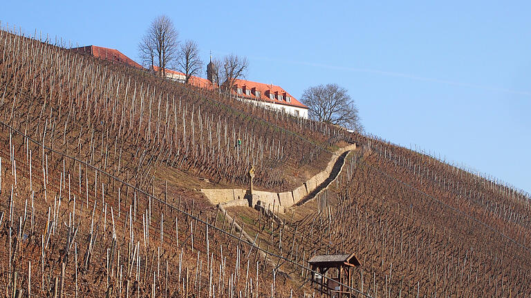Blauer Himmel, Sonnenschein - so präsentierte sich der Februar ab Monatsmitte. Da machte die Arbeit im Weinberg, hier unterhalb der Vogelsburg bei Volkach, doch gleich mehr Spaß. Blauer Himmel, Sonnenschein - so präsentierte sich der Februar ab Monatsmitte. Da machte die Arbeit im Weinberg, hier unterhalb der Vogelsburg bei Volkach, doch gleich mehr Spaß.