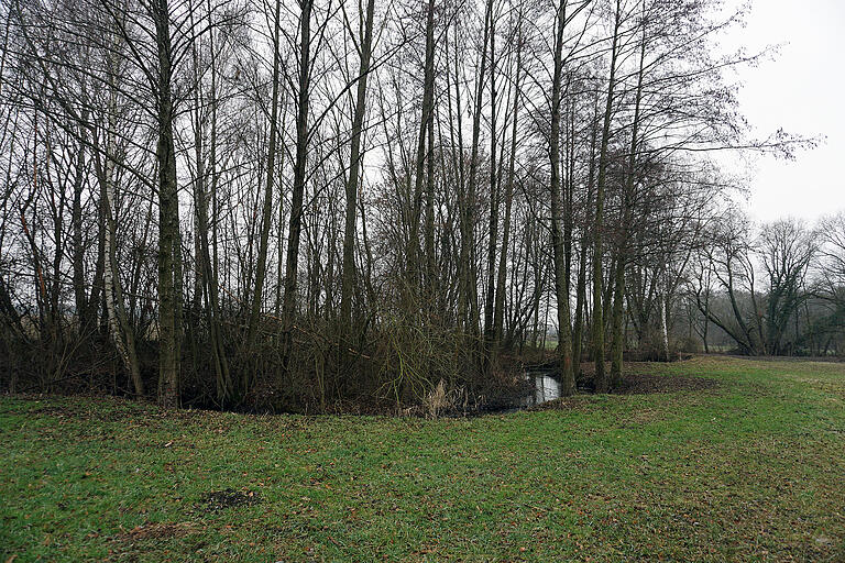 Der renaturierte Unkenbach mäandert wieder durch die Flur und biete in seinen bewachsenen Uferstreifen vielen Tieren eine Heimat. Der renaturierte Unkenbach mäandert wieder durch die Flur und biete in seinen bewachsenen Uferstreifen vielen Tieren eine Heimat.