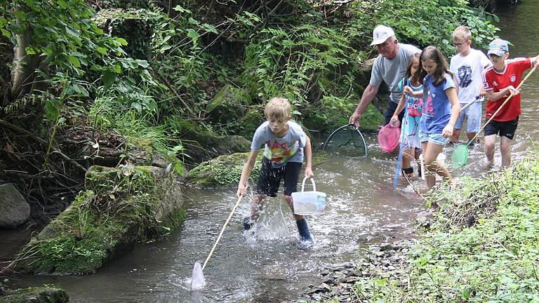 Mit Keschern und Eimern bewaffnet, machten sich die Schulkinder in der Altach auf die Suche nach Fischen, Krebsen und sonstigem Getier.