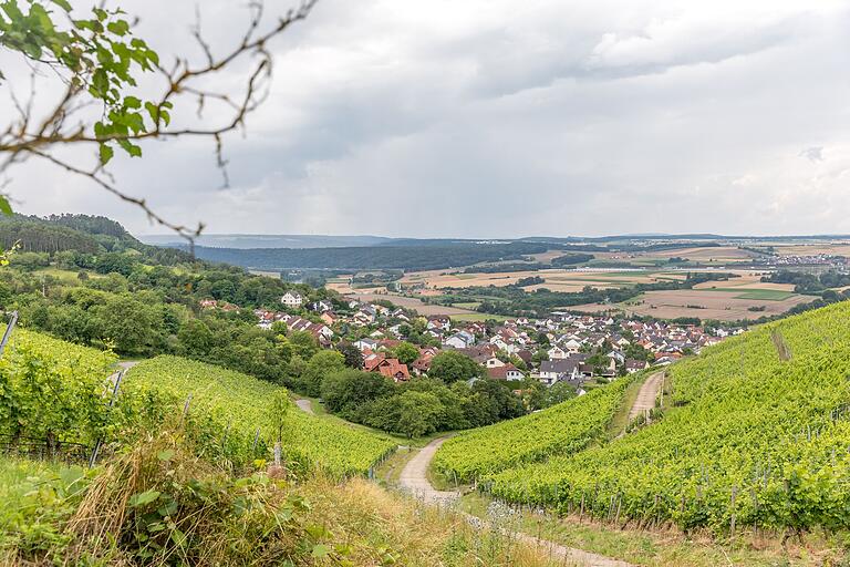 Am Ende der Tour geht es, flankiert von Weinbergen, wieder hinunter zurück zum Ausgangspunkt in Homburg. Am Ende der Tour geht es, flankiert von Weinbergen, wieder hinunter zurück zum Ausgangspunkt in Homburg.