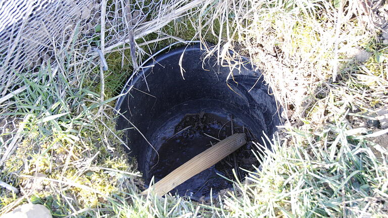 Amphibienschutz Obereschenbach - Etwa alle 50 Meter wurde ein Eimer in die Erde gegraben. Ein kurzes Holzstück bietet Tieren wie Spitzmäusen, die versehentlich in den Eimer fallen, einen Ausweg. Amphibienschutz Obereschenbach - Etwa alle 50 Meter wurde ein Eimer in die Erde gegraben. Ein kurzes Holzstück bietet Tieren wie Spitzmäusen, die versehentlich in den Eimer fallen, einen Ausweg.