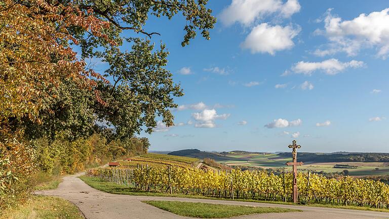 Von der Weinberglage 'Hoher Herrgott' aus haben Spaziergänger einen fantastischen Fernblick.