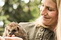 Janina Klüglein päppelt kranke, misshandelte oder ausgesetzte Tiere wieder auf und gibt ihnen ein neues Zuhause. Das Foto zeigt sie mit ihrem Schützling, dem Igel Herbert.