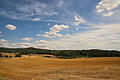 Symbolbild Trockenheit in Unterfranken. Blick auf den Hohenlandsberg (Lkr. Neustadt an der Aisch-Bad Windsheim) im Sommer 2018.