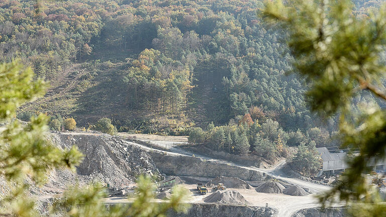 Die Rodungen für den Thüngersheimer Steinbruch nehmen trotz Proteste ihren Lauf.&nbsp;