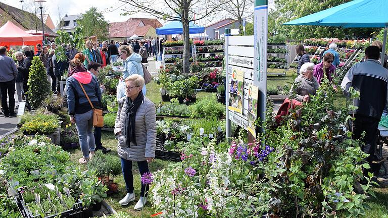 Unzählige Menschen lockte der Rödelseer Frühling unter dem Motto &quot;Garten und Leben – Kunst und Genuss&quot; mit seinem vielfältigen Angebot für Haus und Garten am Wochenende in die Winzergemeinde Rödelsee.