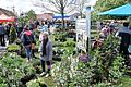 Unzählige Menschen lockte der Rödelseer Frühling unter dem Motto &quot;Garten und Leben – Kunst und Genuss&quot; mit seinem vielfältigen Angebot für Haus und Garten am Wochenende in die Winzergemeinde Rödelsee.