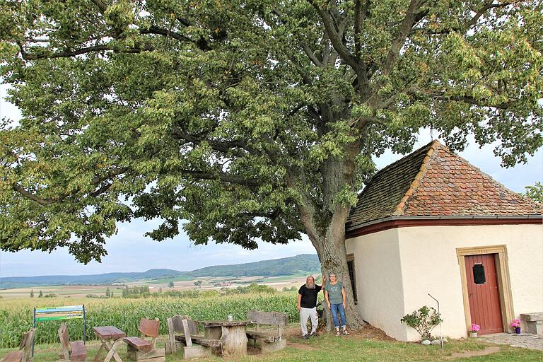 Gutes Beispiel für den Naturschutz in Gerolzhofen: Die Linde an der Gertraudiskapelle, für deren Erhalt sich einst der BN einsetzte.