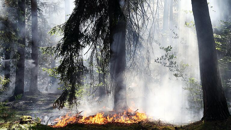 Ein Großaufgebot an Einsatzkräften musste am Donnerstag zu einem Waldbrand bei Stockstadt anrücken. Ein Waldstück an der bayerisch-hessischen Landesgrenze war in Brand geraten.