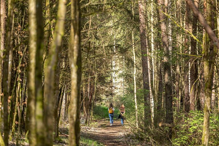Unterwegs auf der Extratour Wacholderheide in Münnerstadt. Der Wanderweg verläuft hauptsächlich auf Wiesenwegen und Waldpfaden.