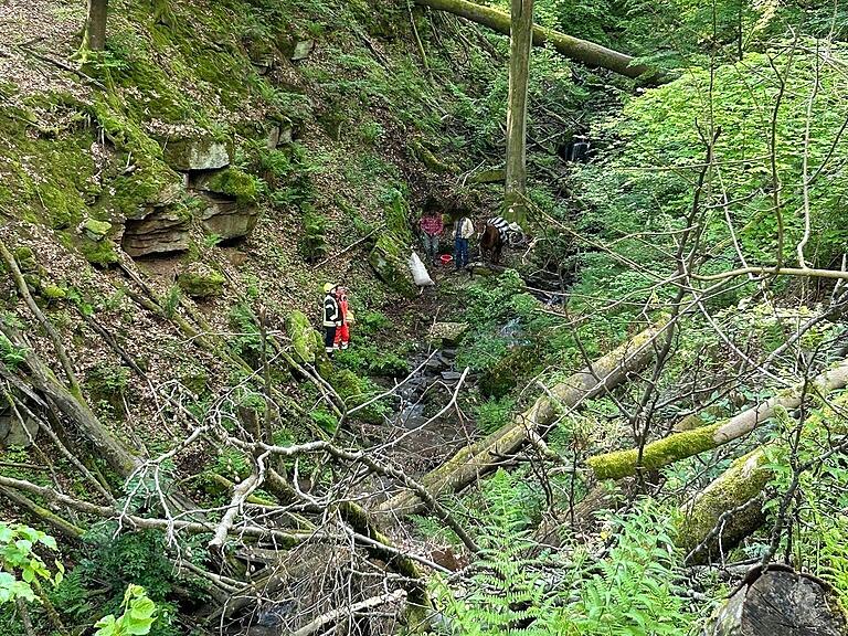 Die Schlucht, in die Pferd und Reiter gefallen waren, war ziemlich tief.