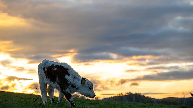 Wetter in Bayern       -  Milde Temperaturen und ein Wettermix stellen sich am Wochenende ein. (Archivbild)