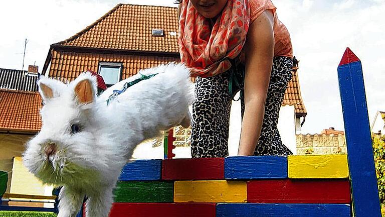 Sophia und ihre Favoritin: Die Häsin Wölkchen ist offenbar ein Naturtalent auf dem Hindernisparcours. Sie durchläuft ihn zuverlässig flott und fehlerfrei.