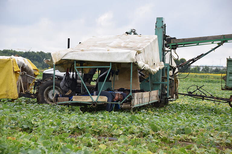 Statt gebückt übers Feld zu laufen und Gurken zu pflücken liegen die Erntehelfer bäuchlings auf Matratzen im Gurkenflieger.