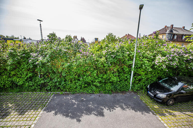 Hier auf dem Parkplatz an der Kreuzung Frankenwinheimer Straße/Kolpingstraße soll der neue Behelfsweg beginnen. Ein Teil der Hecke würde dazu entfernt werden.