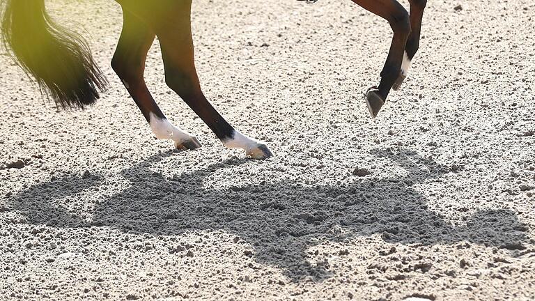 Beliebter Freizeitsport: das Reiten (Symbolbild).