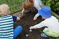 Loch in die Erde und Teebeutel rein: Anton (4), Marie (6) und Linus (2) vergraben im Auftrag der Wissenschaft grünen und Rooibos-Tee im elterlichen Garten.