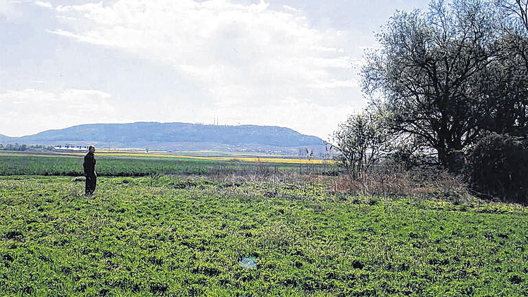 Einstige Traumgegend: Die mittelsteinzeitliche Freilandstation mit dem lange ausgetrockneten Hermannsee bei Großlangheim. Im Hintergrund ist der Schwanberg zu sehen. In der Gegend muss es nach der Eiszeit für die Menschen Nahrung in Hülle und Fülle gegeben haben.