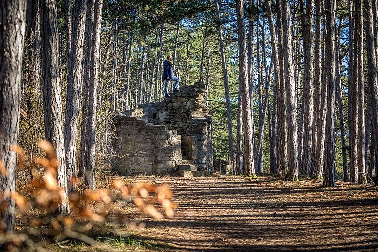  Die Wartturmruine steht mitten im Wald. Die Wartturmruine steht mitten im Wald.