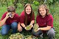 Am vergangenen Montag hat die Weinlese beim Weingut Grünewald in Kleinochsenfurt begonnen. Mitgeholfen haben die Kinder von Winzer Frank Grünewald (von links) Max, Ronja und Leonie Grünewald.