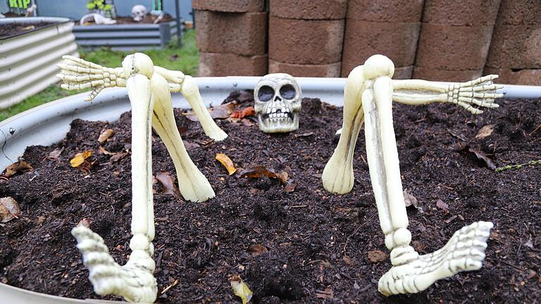 Zu Halloween verwandelte sich in Sulzheim der Garten der Familie Kirbye in ein 'Labyrinth des Grauens'. Fast 300 Menschen kamen, um sich dort zu gruseln.