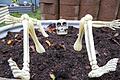 Zu Halloween verwandelte sich in Sulzheim der Garten der Familie Kirbye in ein 'Labyrinth des Grauens'. Fast 300 Menschen kamen, um sich dort zu gruseln.