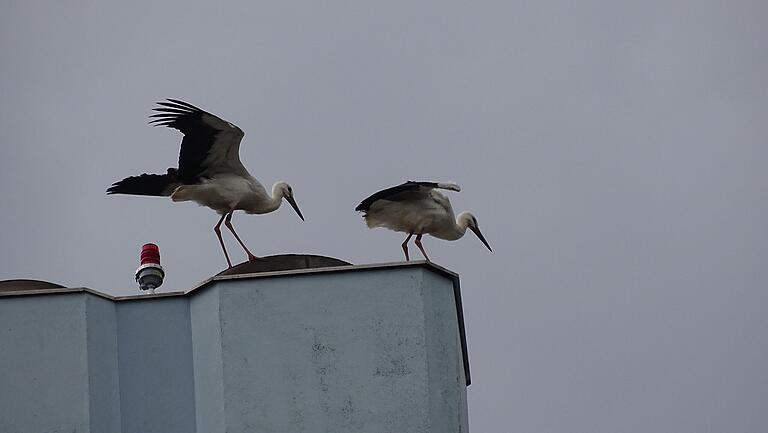 Auftrag erledigt – und Abflug. Auftrag erledigt – und Abflug.