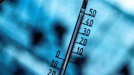 Um 7.37 Uhr zeigt das Thermometer am „Eiswein-Rebstock“ knapp minus neun Grad Celsius an. Um 7.37 Uhr zeigt das Thermometer am „Eiswein-Rebstock“ knapp minus neun Grad Celsius an.