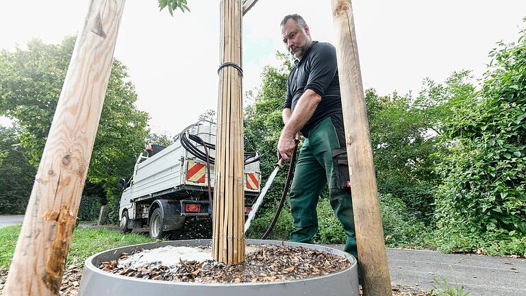 Die Bewässerung von Stadtbäumen soll, wenn es nach den Grünen geht, in Würzburg finanziell stärker unterstützt werden (Archivbild). Die Bewässerung von Stadtbäumen soll, wenn es nach den Grünen geht, in Würzburg finanziell stärker unterstützt werden (Archivbild).