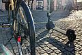 Neben Fahrrädern werden bald auch andere Fahrzeuge auf Würzburgs Radwegen unterwegs sein. Ob das gut geht?