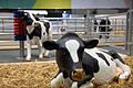Grüne Woche       -  Wegen eines Falls von Maul- und Klauenseuche in Brandenburg waren etliche Tiere dieses Jahr nicht auf der Grünen Messe vertreten - oder eben nur als Attrappe. (Archivbild)