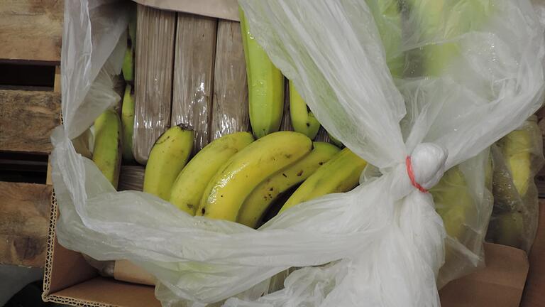 In einem Karton waren in Würzburg unter Bananen 17 Päckchen mit mutmaßlichem Kokain versteckt. Es gehörte zu einer größeren Lieferung von 500 Kilo. In einem Karton waren in Würzburg unter Bananen 17 Päckchen mit mutmaßlichem Kokain versteckt. Es gehörte zu einer größeren Lieferung von 500 Kilo.