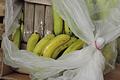 In einem Karton waren in Würzburg unter Bananen 17 Päckchen mit mutmaßlichem Kokain versteckt. Es gehörte zu einer größeren Lieferung von 500 Kilo.