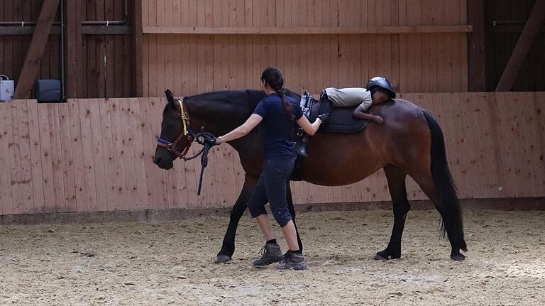 Entspannen bei der Reittherapie - auf Lillys Rücken kann man sogar einschlafen. Entspannen bei der Reittherapie - auf Lillys Rücken kann man sogar einschlafen.