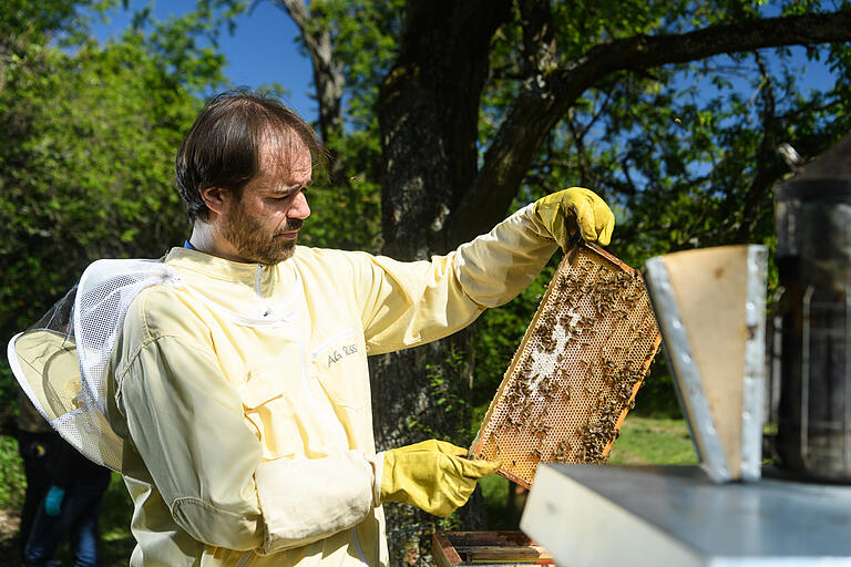 Dr. Thomas Münz vom Lehrstuhl für Verhaltensphysiologie und Soziobiologie an der Universität Würzburg erzählte bei der Kinderuni von seiner Arbeit mit den Bienen. Dr. Thomas Münz vom Lehrstuhl für Verhaltensphysiologie und Soziobiologie an der Universität Würzburg erzählte bei der Kinderuni von seiner Arbeit mit den Bienen. 