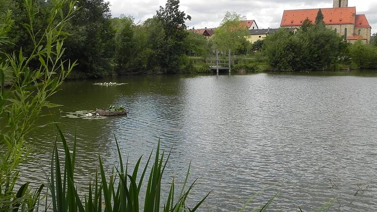 Wandern am See: Der Wanderweg 'Hohenröther' beginnt und endet am Seeheim von Hohenroth. Wandern am See: Der Wanderweg 'Hohenröther' beginnt und endet am Seeheim von Hohenroth.