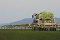 Wieviel Dünger wird ausgebracht? Für Landwirte in den roten Gebieten gelten strengere Vorschriften als für ihre Berufskollegen in grünen Gebieten.&nbsp;