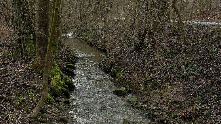 Spazierweg am Zeller Bach bei der Turngemeinde. Spazierweg am Zeller Bach bei der Turngemeinde.