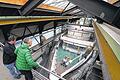 Schiffsflotte am Bodensee rüstet sich für die Saison       -  (lsw)   Neuer Lack, neue Filter, neue Motoren: In der Werft der Bodensee-Schiffsbetriebe (BSB) in Friedrichshafen wird momentan die &bdquo;MS Konstanz&ldquo; auf Vordermann gebracht. &bdquo;Wir haben die alten Dieselmotoren rausgenommen und neue Hauptmaschinen eingesetzt&ldquo;, sagte der Geschäftsbereichsleiter Schiffs- und Hafentechnik, Christoph Witte. Zudem seien neue Rußpartikelfilter eingesetzt worden, um das Schiff umweltfreundlicher zu machen. Ein neues Kleid gab es auch für die &bdquo;MS Konstanz&ldquo;: Sie wurde rundherum neu lackiert. Insgesamt hätten die Kosten für die Umbauten und Instandhaltungen bei 1,6 Millionen Euro gelegen, sagte Witte. Im Schnitt hole die BSB im Winter zwei Schiffe zur Revision in die Werft. Momentan ruht der Kursverkehr auf dem Bodensee, bevor im April wieder die neue Saison beginnt. Insgesamt fährt die BSB-Flotte mit zwölf Kursschiffen auf dem Bodensee, dazu kommen noch zwei Fähren. In der vergangenen Saison wurden 2,2 Millionen Gäste befördert.