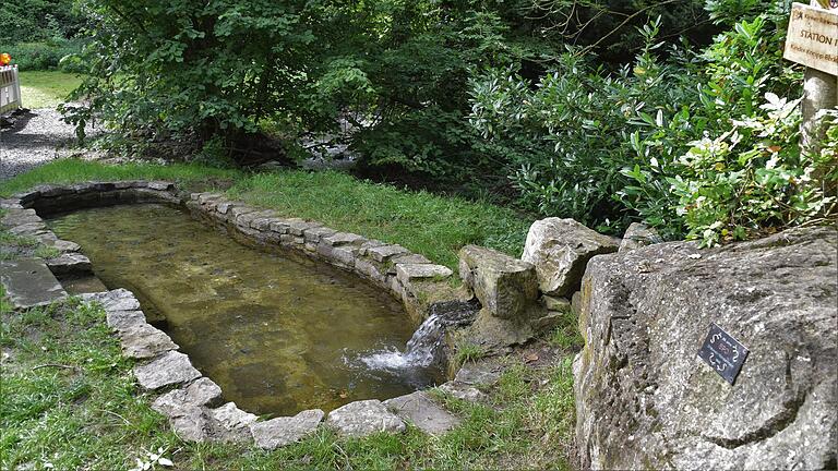 Für die Jungen: Am Anfang des Bärleswegs in Mainbernheim findet sich ein Kinderkneippbecken. Für die Jungen: Am Anfang des Bärleswegs in Mainbernheim findet sich ein Kinderkneippbecken.