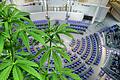 An diesem Freitagnachmittag debattiert und entscheidet der Bundestag über die Legalisierung von Cannabis. Auch in Unterfranken spaltet das Thema die Parteien.