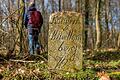 Dass es hier entlang der bayerisch-württembergischen Grenze geht, erkennt man an den vielen Grenzsteinen:&nbsp; unterwegs beim Wandern in Aub im Landkreis Würzburg.&nbsp;