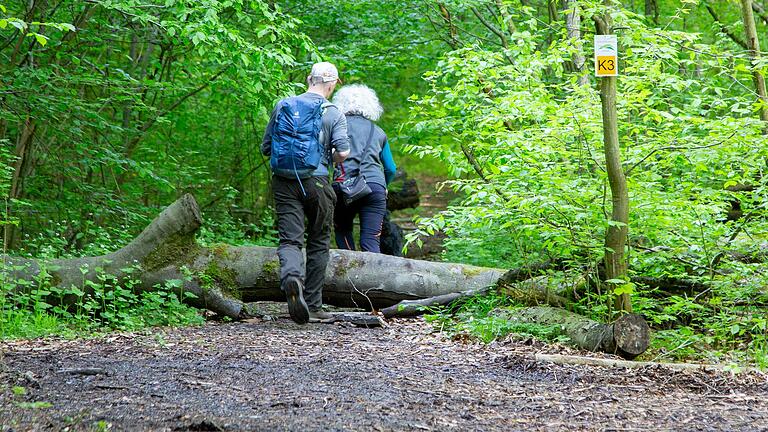 Ausflugstipp: Schlangenrunde in Zell am Ebersberg Lkr. Haßberge. Die Wanderung führt über Baumstämme. Ausflugstipp: Schlangenrunde in Zell am Ebersberg Lkr. Haßberge. Die Wanderung führt über Baumstämme.