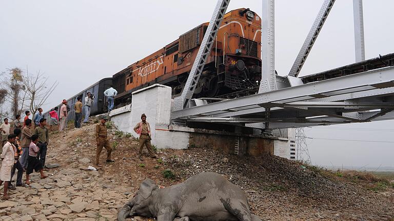 Zug in Indien überfährt zwei Elefanten       -  Zugstrecken in Indien sind nicht gesichert. Deswegen kommt es häufig zu Wildunfällen.
